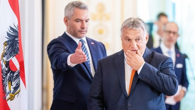 Thủ tướng Áo Karl Nehammer và Thủ tướng Hungary Viktor Orban. Ảnh: APA Thủ tướng Áo Karl Nehammer và Thủ tướng Hungary Viktor Orban. Ảnh: APA