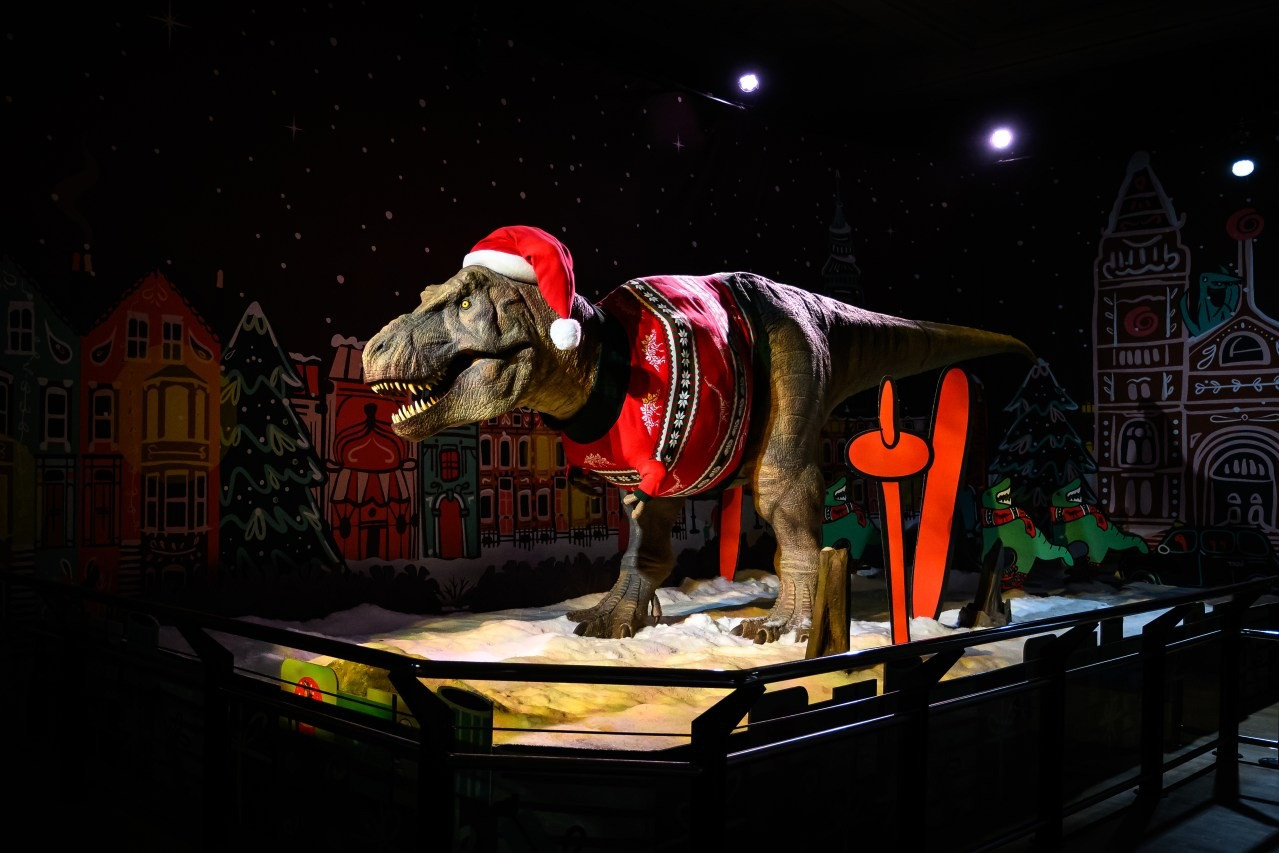 Mô hình khủng long bạo chúa được mặc áo và đội mũ Ông già Noel tại Bảo tàng Lịch sử Tự nhiên ở London (Anh). Ảnh: Getty Images