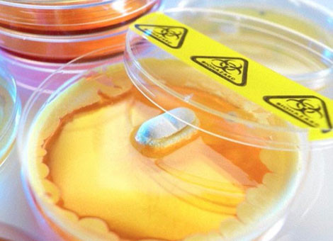 Siêu kháng sinh: Phép màu của y học? ảnh 1