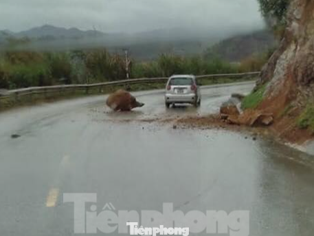 Một hòn đá to suýt rơi trúng xe ô tô 4 chỗ ngồi đang lưu thông trên đường -Ảnh: TL
