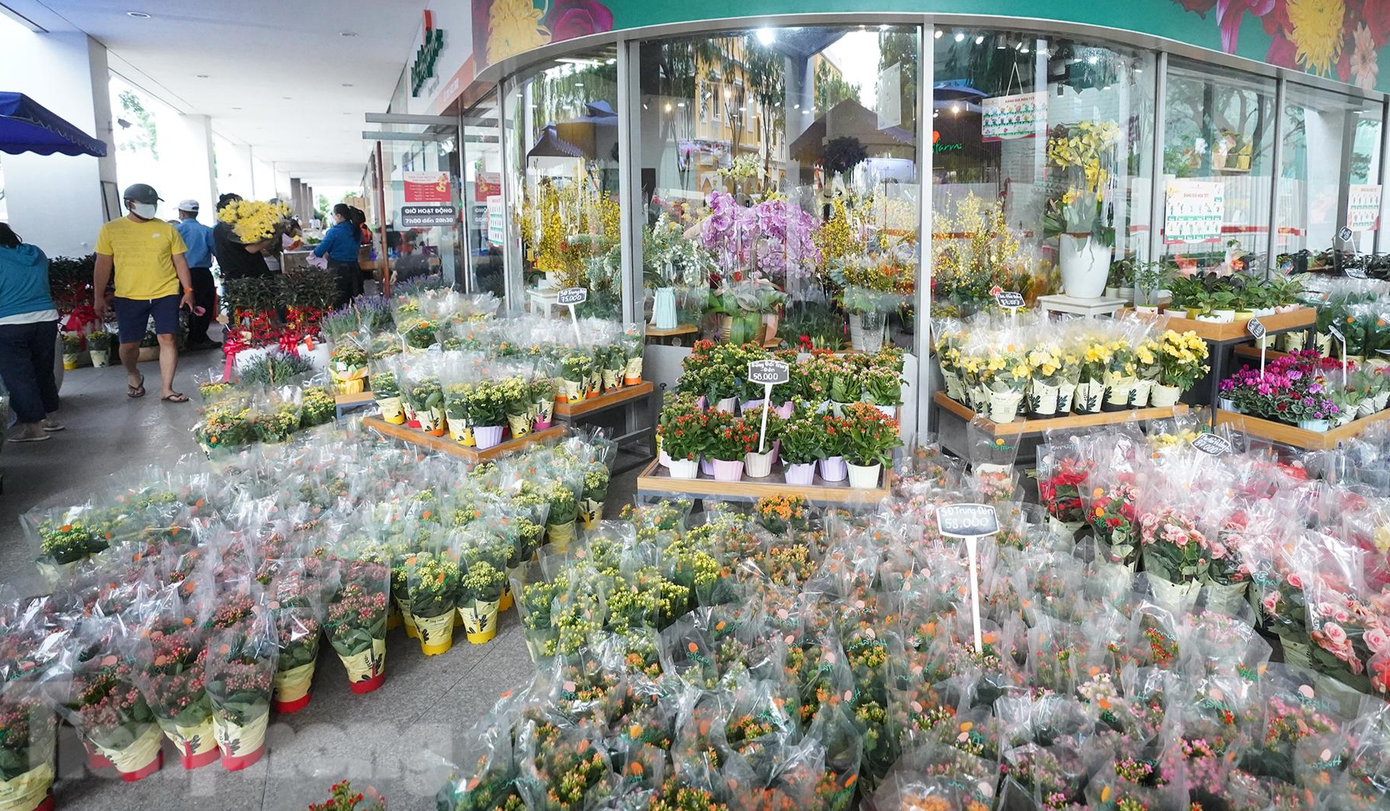 Bên ngoài cửa hàng trên đường Tôn Dật Tiên (quận 7), bày bán các loại hoa chậu, bao gồm cúc, hồng, hồng môn, sống đời và một số loại hoa cắt cành phổ biến như cúc, hướng dương.