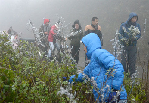 Nhiều du khách vẫn đi ôtô, xe máy lên ngắm băng tuyết. Nhiều du khách vẫn đi ôtô, xe máy lên ngắm băng tuyết