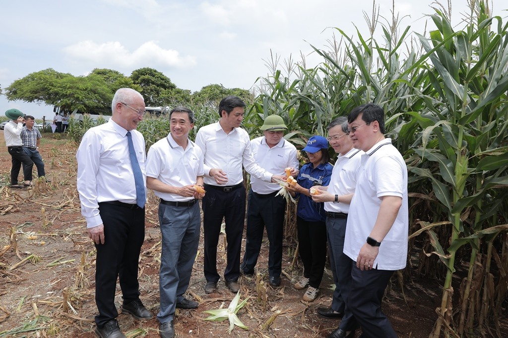 Các cán bộ lớp Bồi dưỡng, cập nhật kiến thức, kỹ năng đối với cán bộ quy hoạch Ủy viên Ban Chấp hành Trung ương Đảng khóa XIV thăm cánh đồng Đông Hiếu, nơi TH ứng dụng các công nghệ và máy móc nông nghiệp hiện đại, giá trị cao hàng đầu thế giới vào hoạt động canh tác.