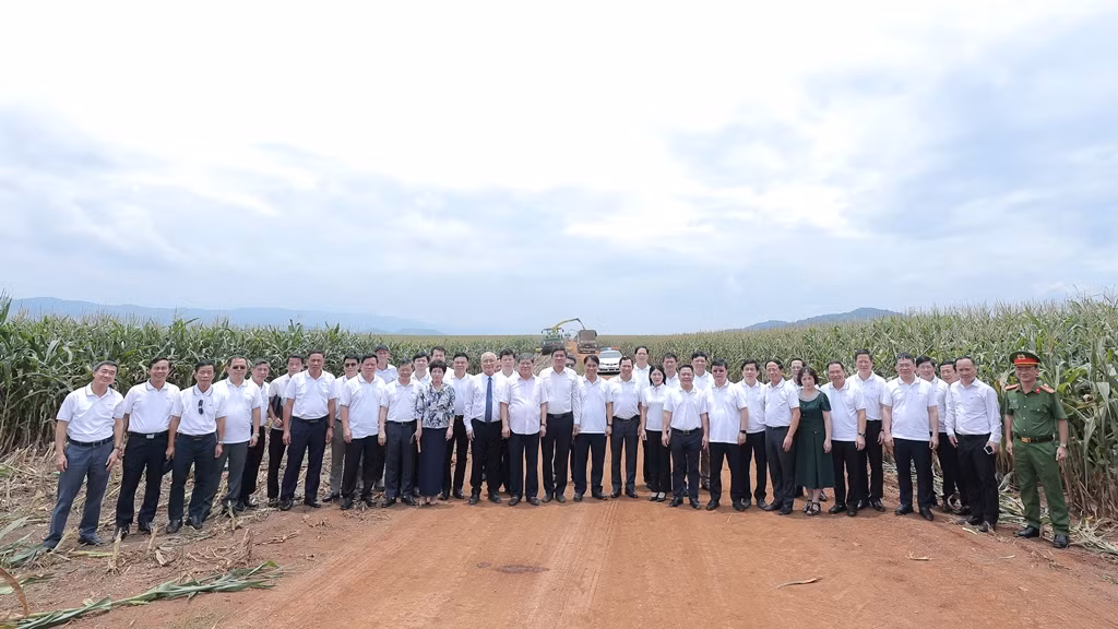 Tập thể lớp cán bộ quy hoạch Ủy viên Ban Chấp hành Trung ương Đảng khóa XIV chụp ảnh lưu niệm tại cánh đồng nguyên liệu của Tập đoàn TH tại Nghĩa Đàn, Nghệ An. Tập thể lớp cán bộ quy hoạch Ủy viên Ban Chấp hành Trung ương Đảng khóa XIV chụp ảnh lưu niệm tại cánh đồng nguyên liệu của Tập đoàn TH tại Nghĩa Đàn, Nghệ An.