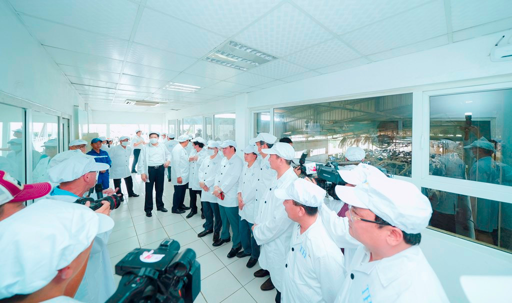 Đoàn tham quan khu vực chăn nuôi bò sữa của Tập đoàn TH.