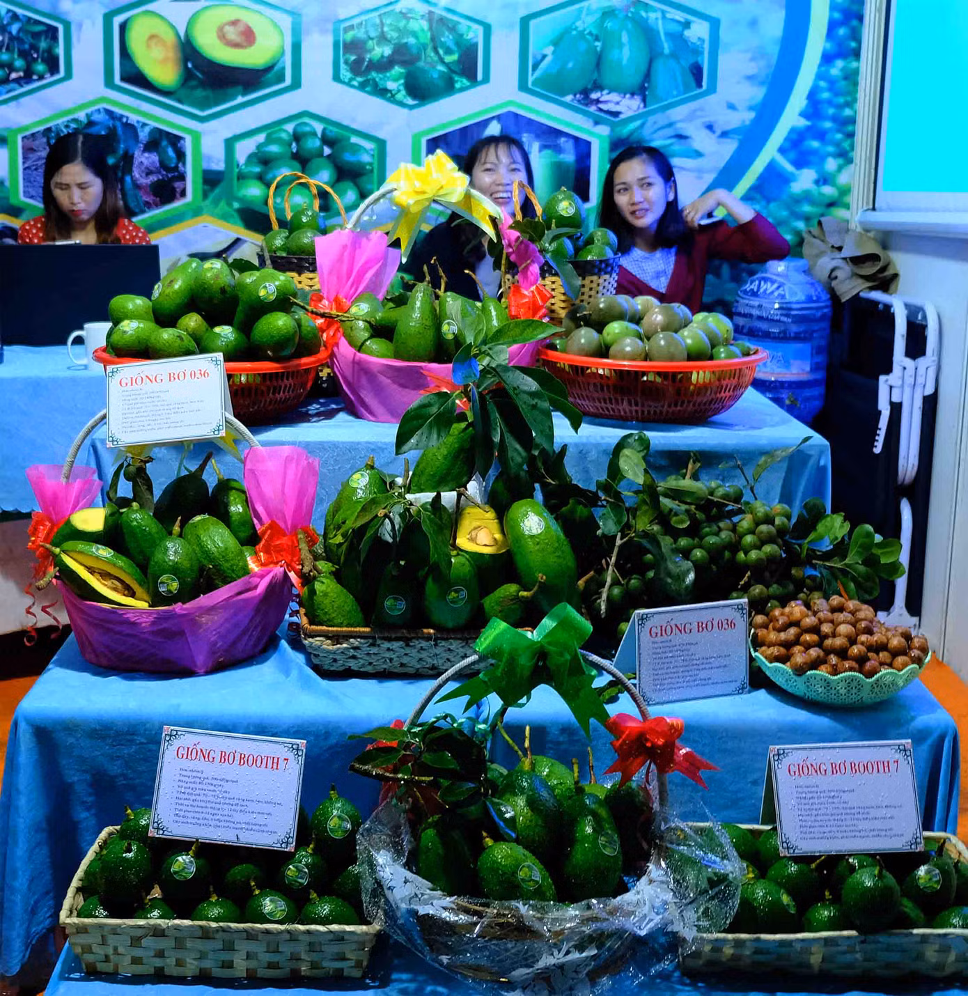 Thú vị với tuần lễ 'Mùa bơ chín' ảnh 6