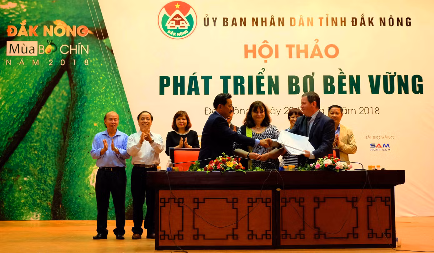 Thú vị với tuần lễ 'Mùa bơ chín' ảnh 7