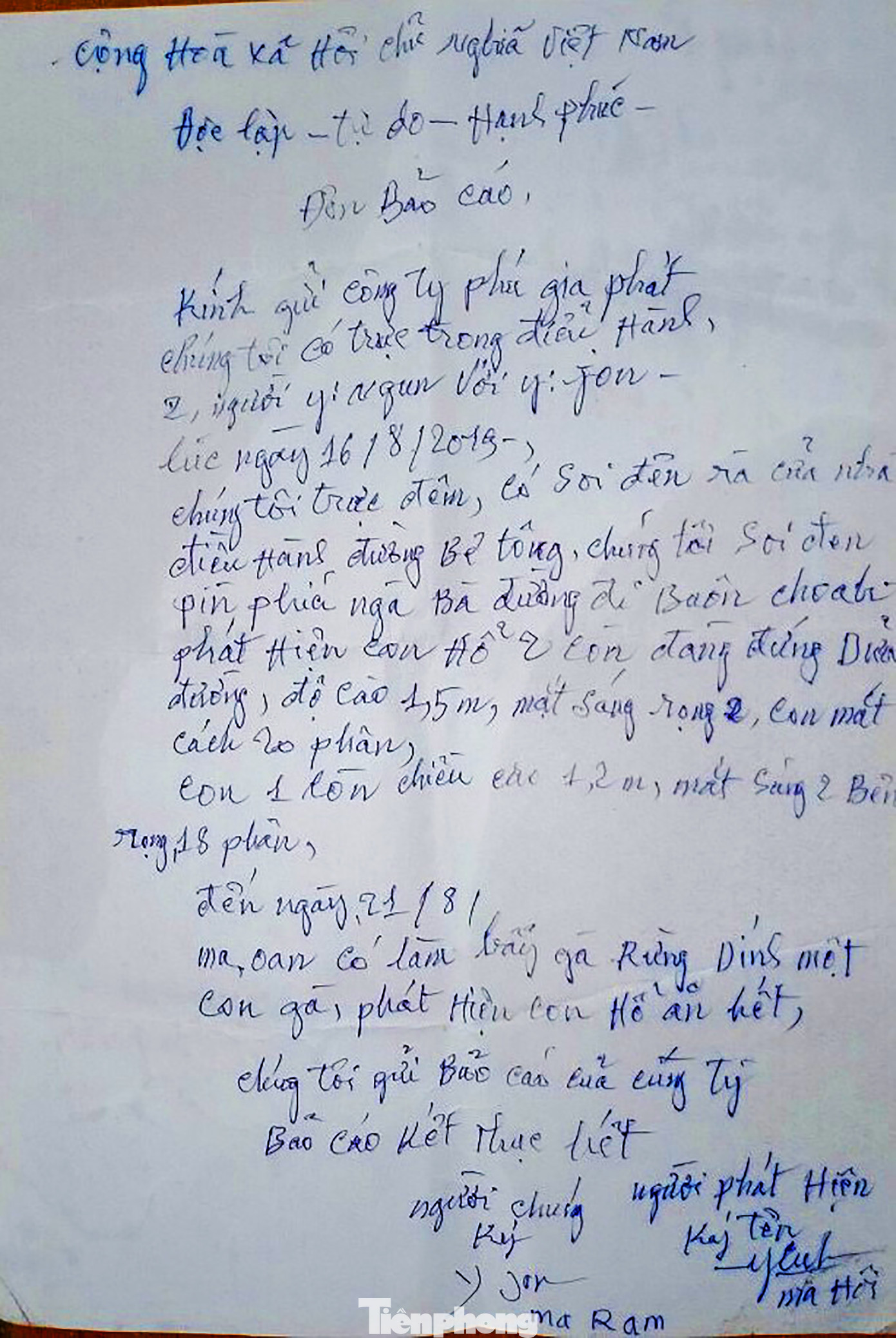 Thực hư cá thể hổ trong vùng hang động núi lửa lớn nhất Đông Nam Á ảnh 1