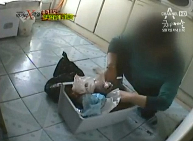 Nhiều túi đen đựng bào thai được người phụ nữ lấy trong tủ lạnh ra. Ảnh chụp từ clip. Nhiều túi đen đựng bào thai được người phụ nữ lấy trong tủ lạnh ra. Ảnh chụp từ clip