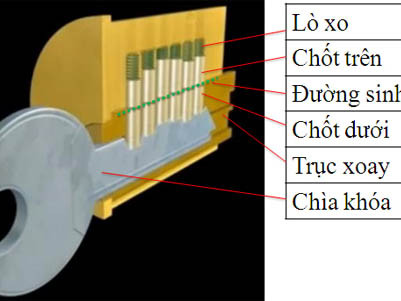 Cấu tạo khóa. Cấu tạo khóa