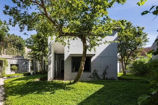 Ngôi nhà độc đáo 'nuốt' trọn 5 cây gỗ quý ở Nghệ An lên báo Tây ảnh 3