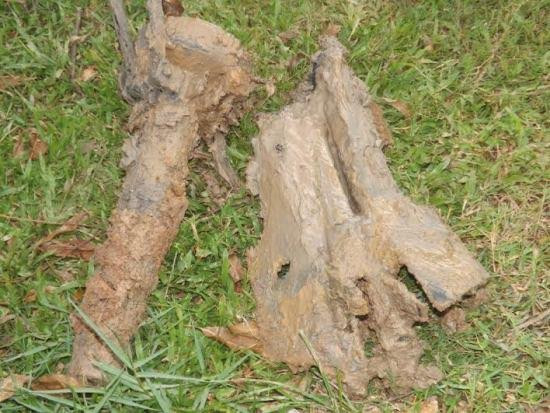 Phát hiện quả tên lửa nằm sâu 4m dưới đất ở Nghệ An ảnh 3