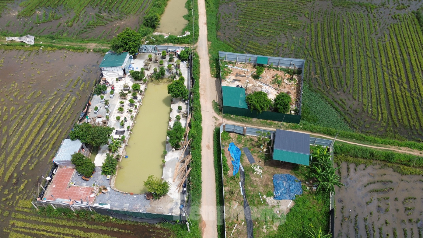 Trao đổi về nội dung này, lãnh đạo UBND xã Trường Yên xác nhận, trên địa bàn vẫn còn một số công trình vi phạm trên đất nông nghiệp, đất công ích, phần lớn là những tồn tại trong giai đoạn trước. Trao đổi về nội dung này, lãnh đạo UBND xã Trường Yên xác nhận, trên địa bàn vẫn còn một số công trình vi phạm trên đất nông nghiệp, đất công ích, phần lớn là những tồn tại trong giai đoạn trước.