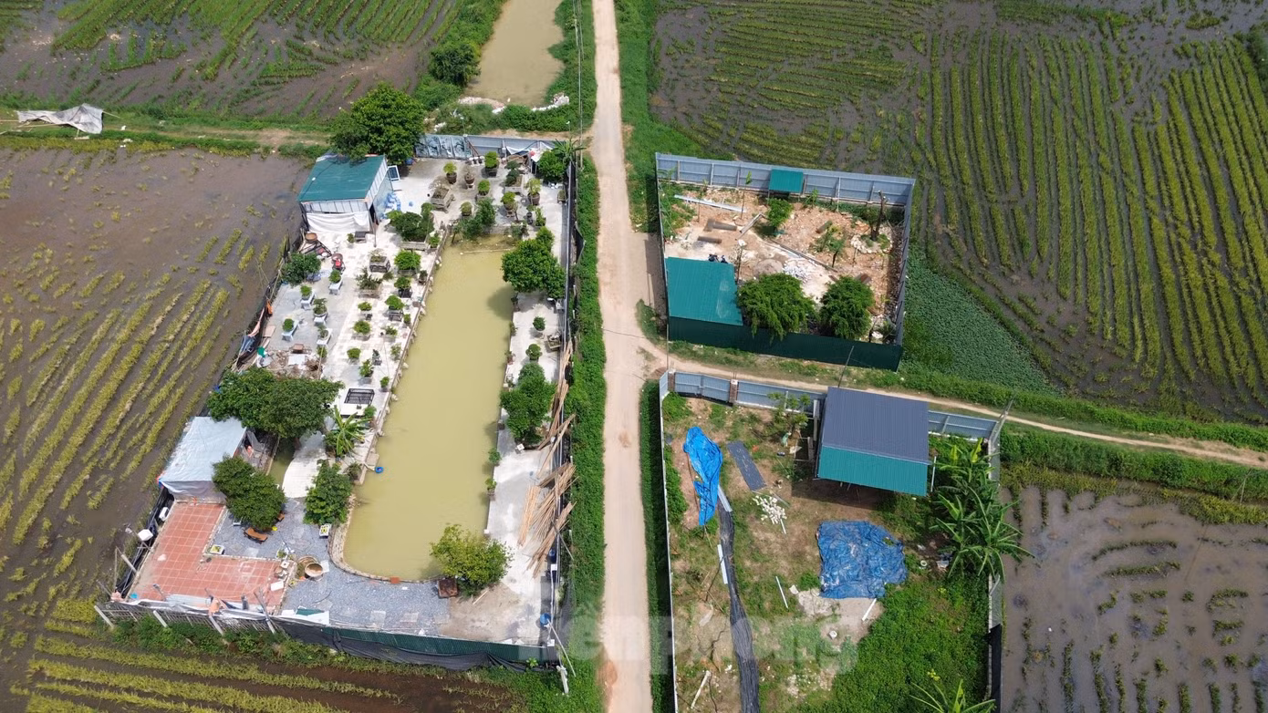 Trao đổi về nội dung này, lãnh đạo UBND xã Trường Yên xác nhận, trên địa bàn vẫn còn một số công trình vi phạm trên đất nông nghiệp, đất công ích, phần lớn là những tồn tại trong giai đoạn trước.