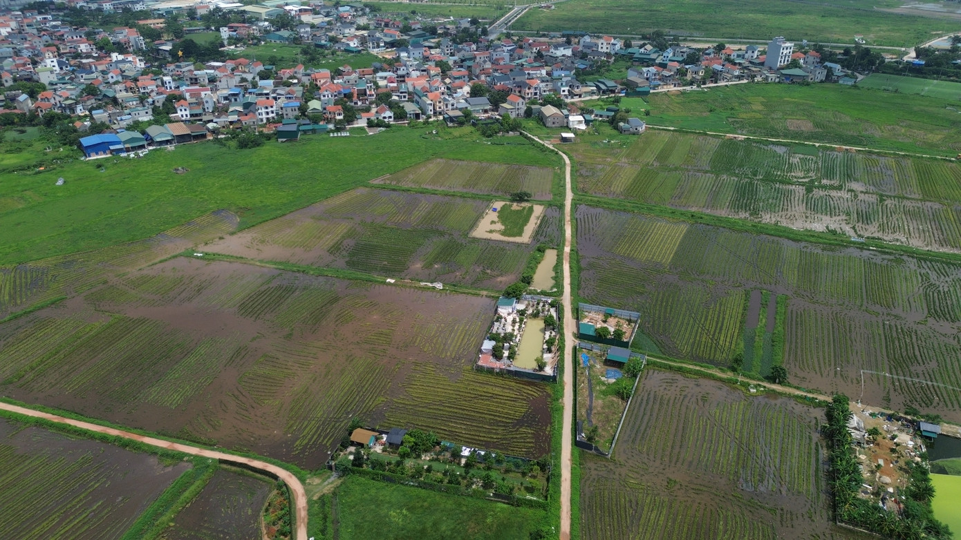 Một khu đất nông nghiệp trên địa bàn Hà Nội