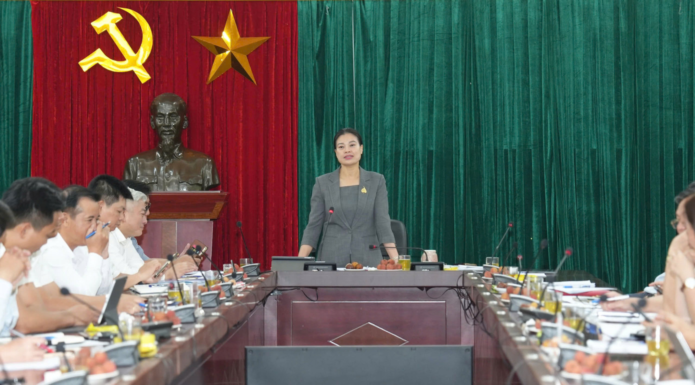 Bà Bạch Liên Hương, Tổ trưởng Tổ công tác số 10 làm việc với quận Nam Từ Liêm, huyện Ba Vì và Mỹ Đức ngày 25/6.