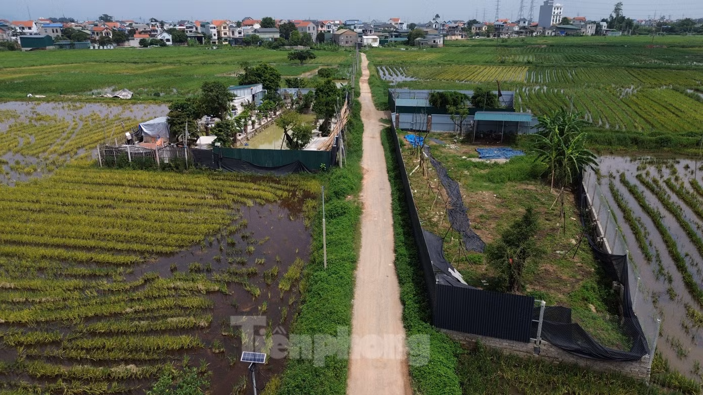 Trước đó, Chủ tịch UBND huyện Chương Mỹ đã yêu cầu UBND các xã, thị trấn trên địa bàn huyện phải xử lý dứt điểm những trường hợp vi phạm đất đai, trật tự xây dựng phát sinh từ đầu năm 2025 đến nay. Đối với những trường hợp cố tình vi phạm, các cơ quan chức năng của huyện sẽ thu thập hồ sơ chuyển lên Công an thành phố điều tra, khởi tố hình sự theo quy định.
