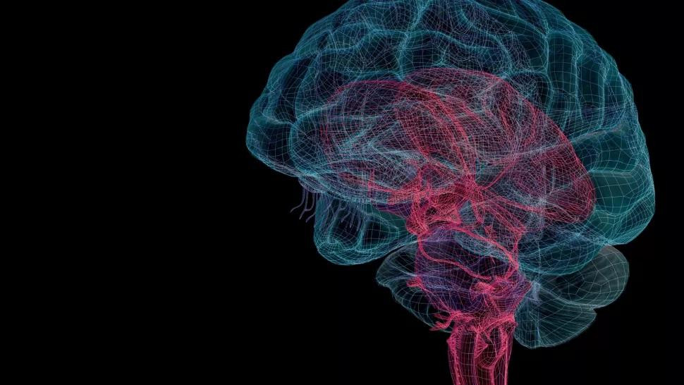 Kẽm đóng vai trò quan trọng đối với sức khỏe của não bộ.