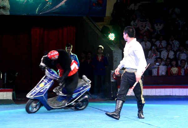 hay điệu nghệ với xe máy tay ga.