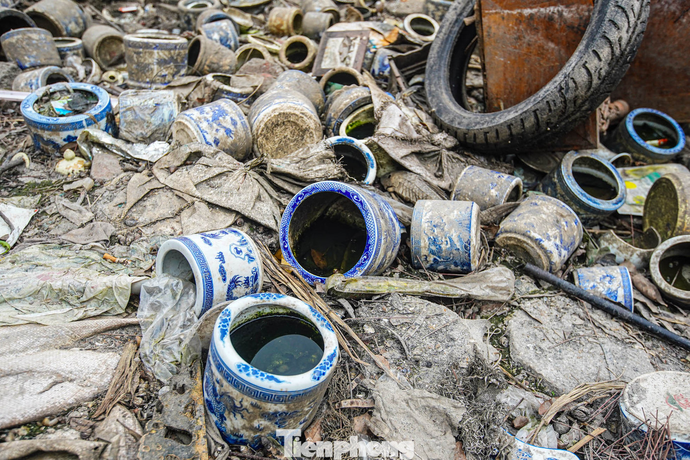 Bên cạnh cá chết, hàng nghìn bát hương, đồ thờ cúng trôi nổi dưới lòng hồ ảnh hưởng trực tiếp đến môi trường, gây mất mỹ quan đô thị.