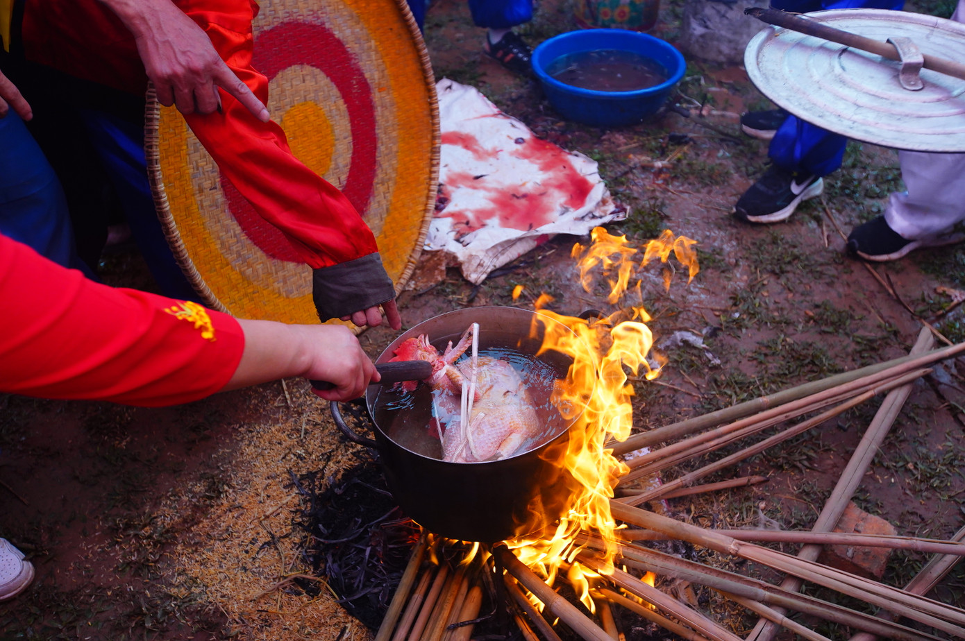 Gà được tiến hành cắt tiết bằng mảnh cật nứa, đun nước làm lông và mổ gà rồi luộc.