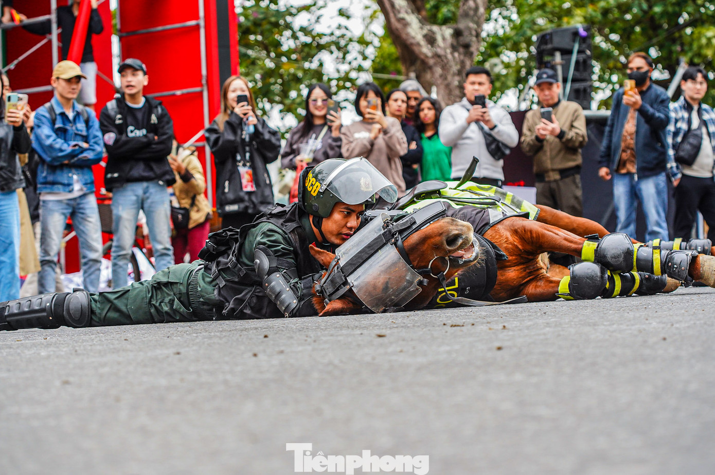 Nhiều nội dung điều khiển ngựa được trình diễn khiến khán giả thích thú.