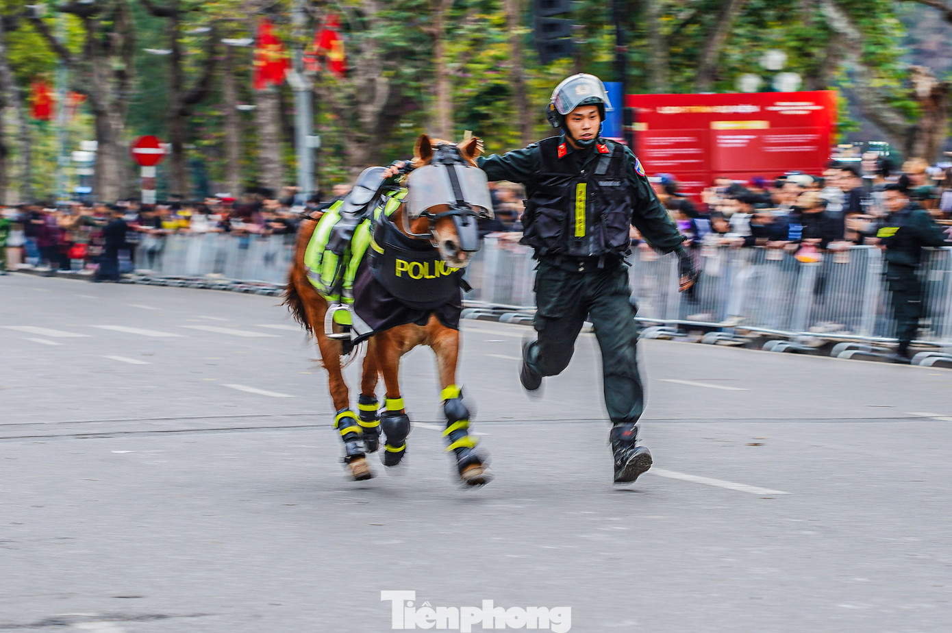 Nhiều nội dung điều khiển ngựa được trình diễn khiến khán giả thích thú.