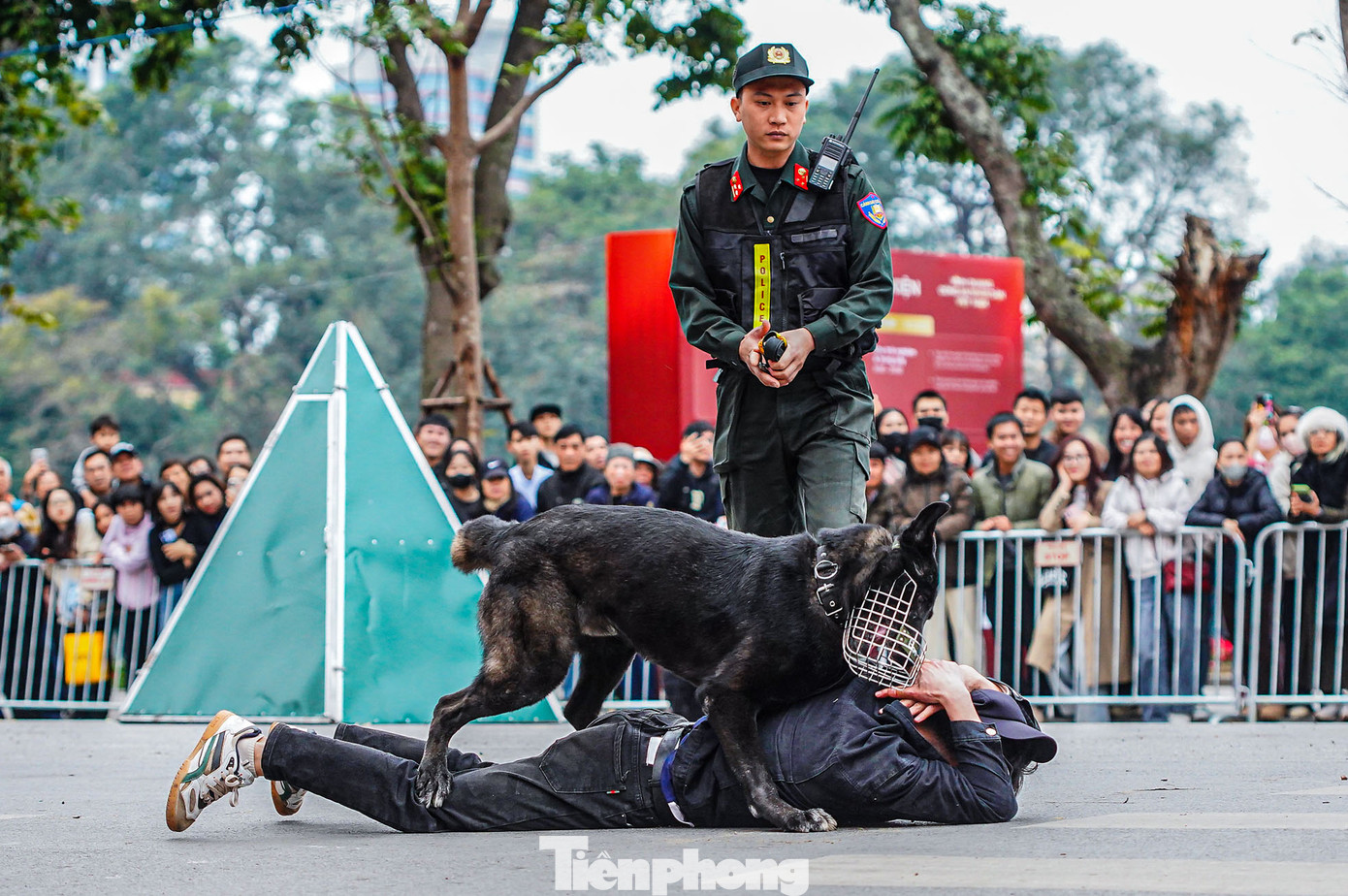 Những màn dũng mãnh tấn công tội phạm của cảnh khuyển khiến người xem mãn nhãn.