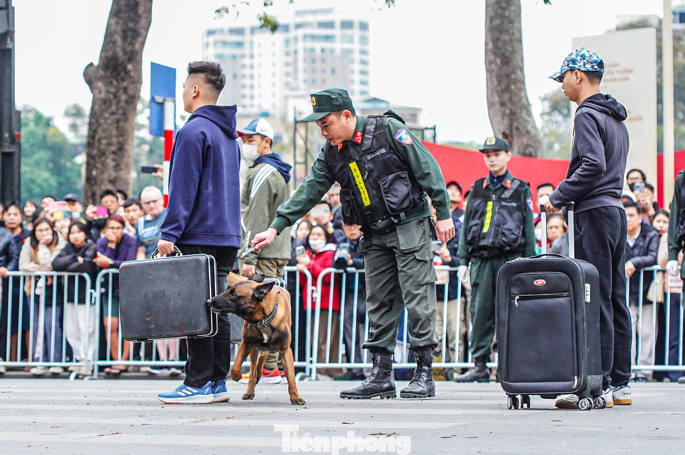 Cảnh khuyển trổ tài tìm ma túy, vật cháy nổ.