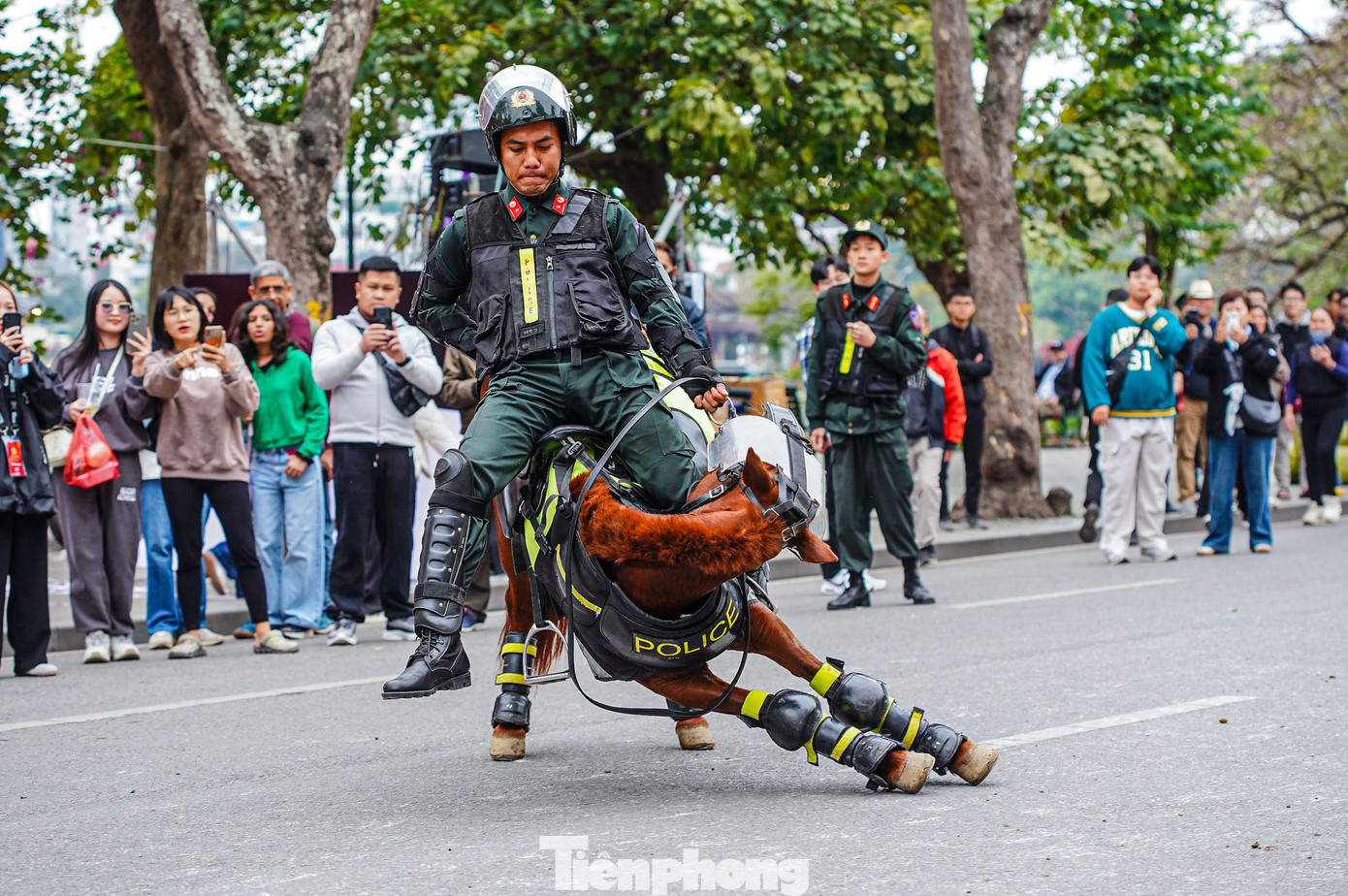 Nhiều nội dung điều khiển ngựa được trình diễn khiến khán giả thích thú.