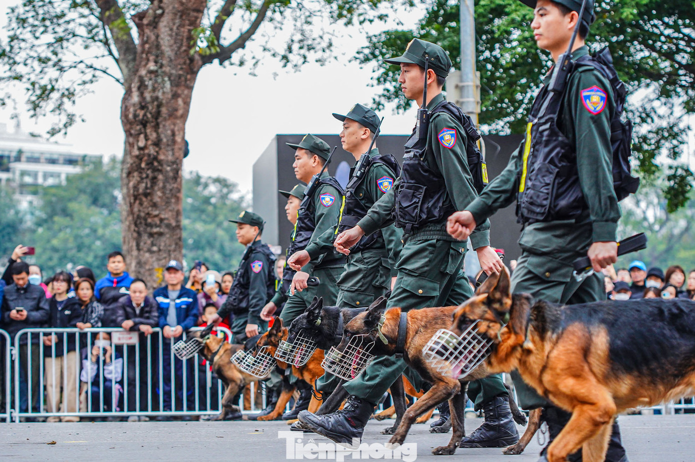 Màn trình diễn huấn luyện Cảnh khuyển trong chương trình tổng duyệt.