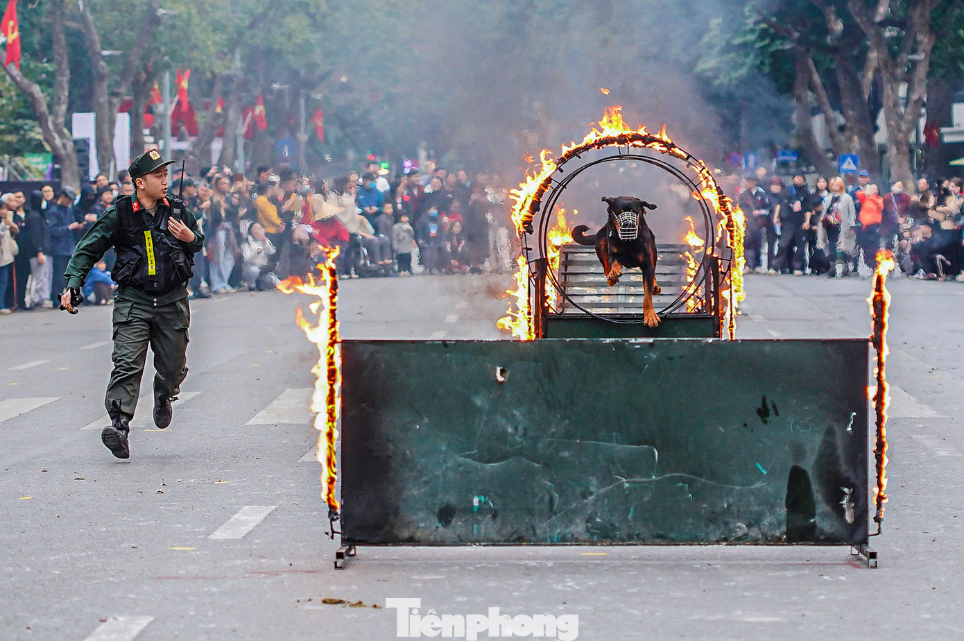 Cảnh khuyển trổ tài vượt vòng lửa.