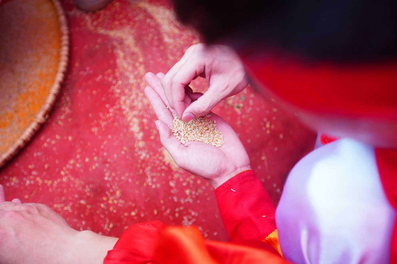 Sau đó thóc được trai làng sàng kỹ. Gạo nộp trước và gạo sạch, không nát sẽ được điểm cao.