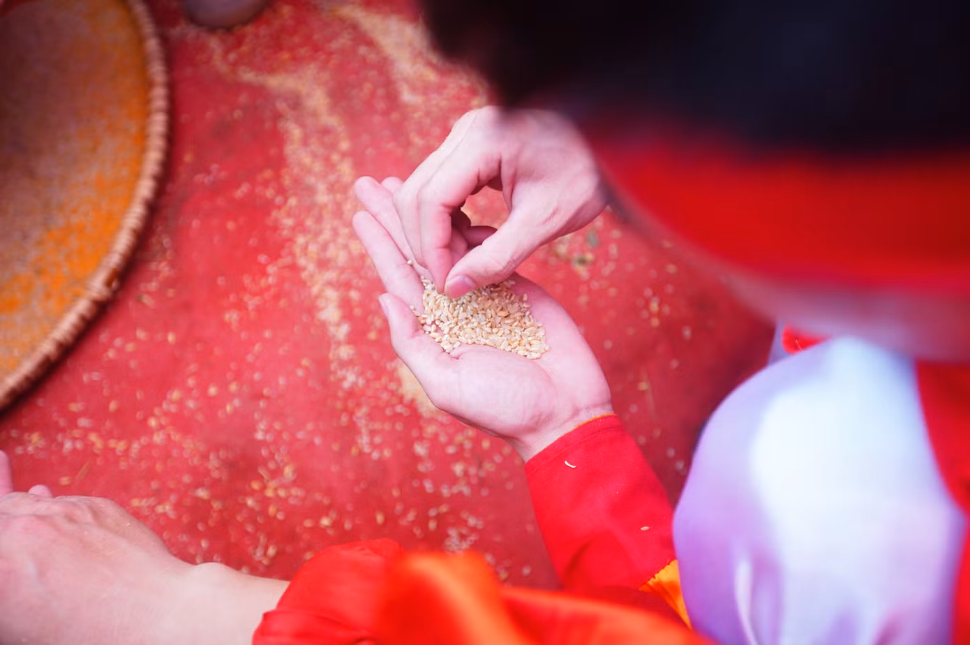 Sau đó thóc được trai làng sàng kỹ. Gạo nộp trước và gạo sạch, không nát sẽ được điểm cao.