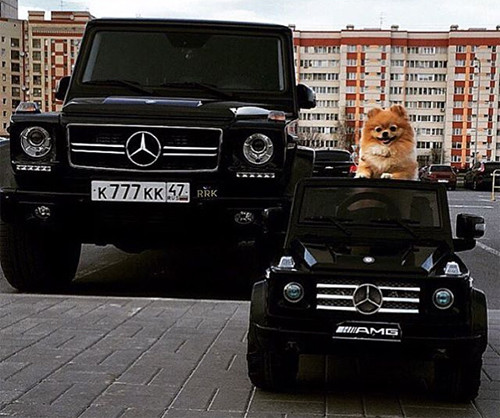 Hội con nhà giàu Nga và thú vui khoe siêu xe ảnh 16