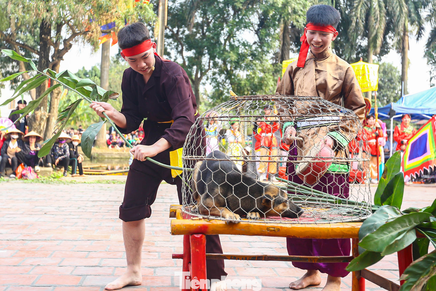 Nam nhân thể hiện trong phần thi chõng chó (chọc cho chó sủa).