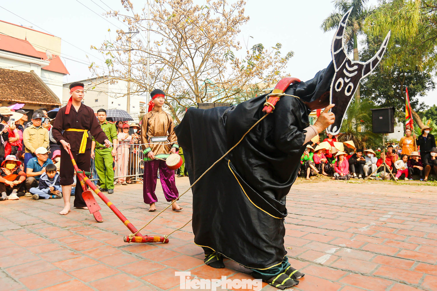 Những người đóng vai “chàng rể” chia làm hai phe Bắc và Hậu. Mỗi phe sẽ cử ra 1 chàng trai đại diện để thi đấu. Các chàng trai phải trải qua các phần thi: Thi cày, thi câu ếch, bắt chạch trong chum và thi chõng chó (chọc cho chó sủa). Phần thi đầu tiên “Thi cày” trên sân gạch, phần thi này thu hút nhiều du khách, vì đòi hỏi hai người đóng giả trâu và người cày cũng như người dẫn đường phải hết sức thông minh và khéo léo.