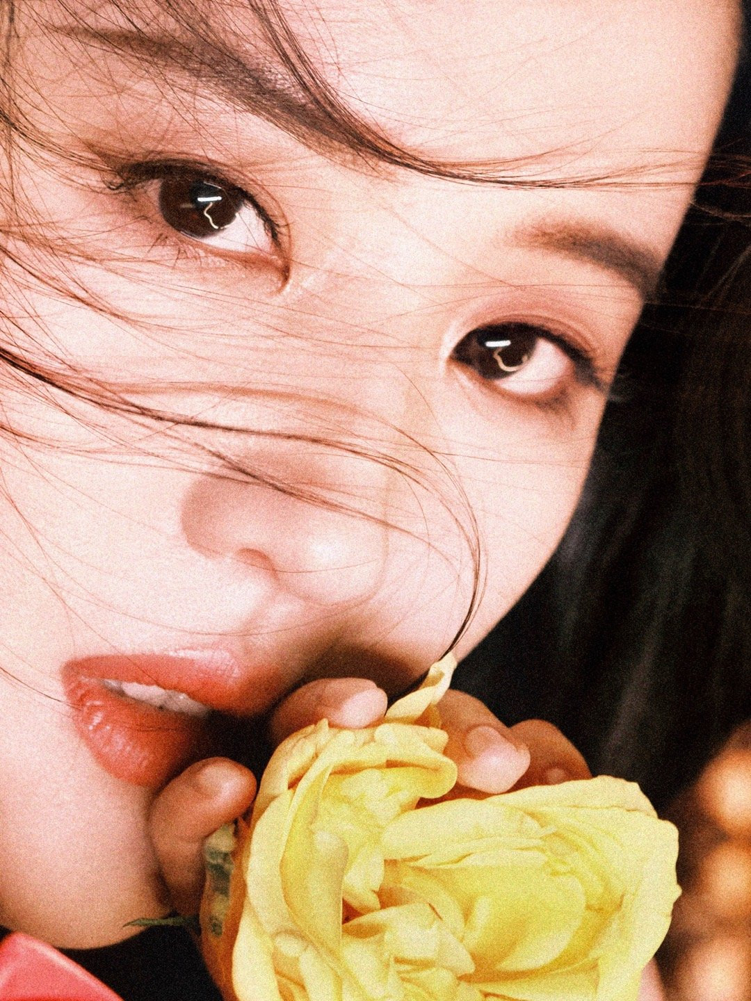 Sau khi Câu chuyện hoa hồng lên sóng đạt danh tiếng tốt, Lưu Diệc Phi đang tạm nghỉ ngơi. Sắp tới, Lưu Diệc Phi được cho là sẽ hợp tác với nam diễn viên thực lực Tần Hạo trong một tác phẩm đề tài phá án. Sau khi Câu chuyện hoa hồng lên sóng đạt danh tiếng tốt, Lưu Diệc Phi đang tạm nghỉ ngơi. Sắp tới, Lưu Diệc Phi được cho là sẽ hợp tác với nam diễn viên thực lực Tần Hạo trong một tác phẩm đề tài phá án.