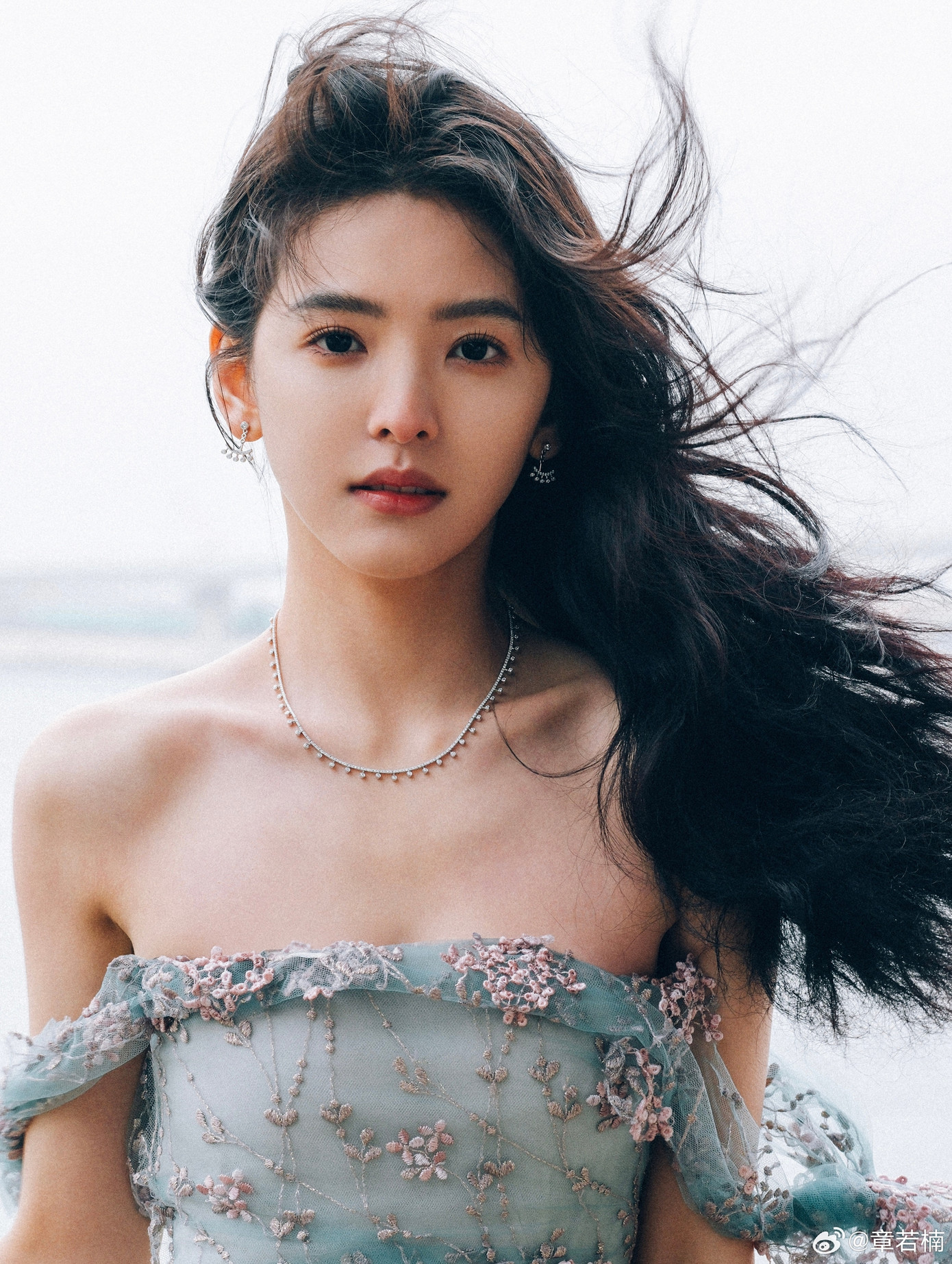 Trong sự nghiệp của mình, Chương Nhược Nam ghi dấu ấn với những vai diễn đẫm nước mắt như Cố Sâm Tương dịu dàng lương thiện nhưng là nạn nhân của trò bắt nạt trong trường học, sau đó không chịu nổi những áp lực mà tự tử trong Bi thương ngược dòng thành sông. Hay vai diễn Vưu Vịnh Từ trong sáng, đáng yêu cùng mối tình day dứt với Hứa Quang Hán trong phim điện ảnh Hôn lễ của em.