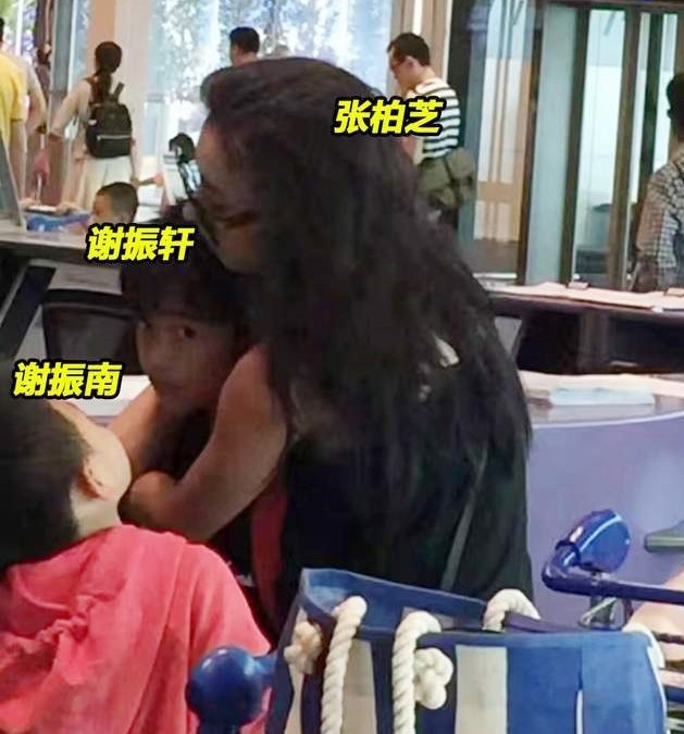 Lý do Trương Bá Chi nghỉ ngơi vì cô đưa các con đi du lịch.