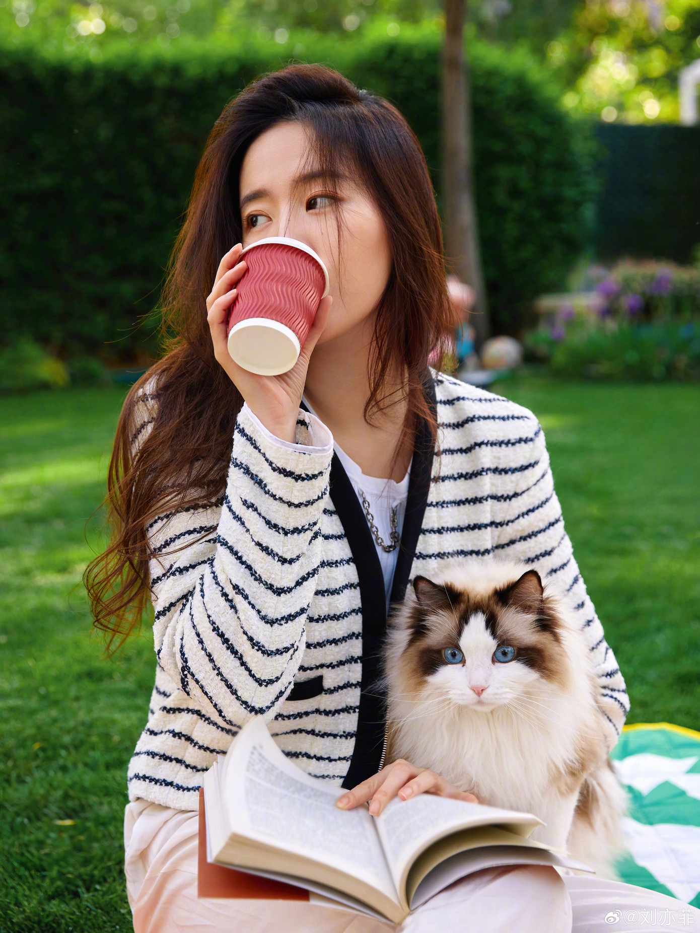 Nhiều năm qua, Lưu Diệc Phi âm thầm nhận nuôi hàng trăm chú mèo bị vô chủ, sau đó tìm chủ mới cho chúng. Nữ diễn viên cũng sở hữu khối tài sản khổng lồ với nhiều siêu xe, biệt thự. Nhiều năm qua, Lưu Diệc Phi âm thầm nhận nuôi hàng trăm chú mèo bị vô chủ, sau đó tìm chủ mới cho chúng. Nữ diễn viên cũng sở hữu khối tài sản khổng lồ với nhiều siêu xe, biệt thự.