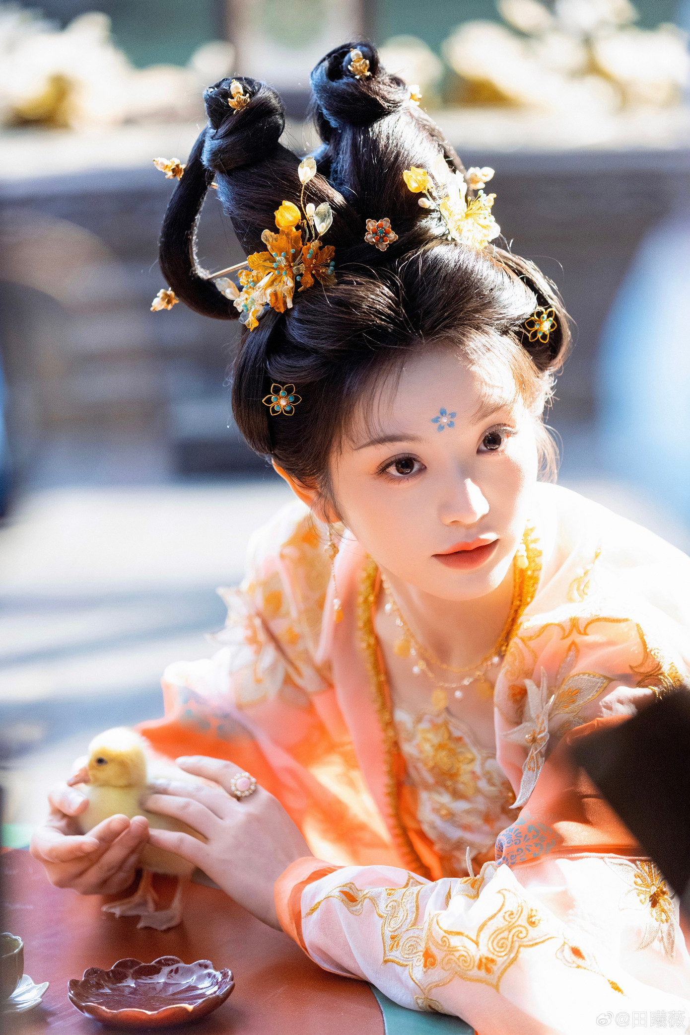 Ngay từ khi khai máy, tạo hình mỹ nhân đời Đường của Điền Hi Vi đã nhận được nhiều lời khen ngợi của khán giả. Nữ diễn viên có ngoại hình sáng, gương mặt xinh đẹp, chiều cao 1,68 m thon gọn, tỷ lệ cân xứng dù mặc đồ cổ trang nhiều lớp vẫn thanh thoát nhẹ nhàng. Các thiết kế trang phục của Dạ tử quy có màu sắc tươi trẻ, bắt mắt làm nổi bật sức sống của nhân vật Vũ Trinh. Bên cạnh đó, Điền Hi Vi có nét đẹp lanh lợi, cũng phù hợp với vai diễn quận chúa hoạt bát. Ngay từ khi khai máy, tạo hình mỹ nhân đời Đường của Điền Hi Vi đã nhận được nhiều lời khen ngợi của khán giả. Nữ diễn viên có ngoại hình sáng, gương mặt xinh đẹp, chiều cao 1,68 m thon gọn, tỷ lệ cân xứng dù mặc đồ cổ trang nhiều lớp vẫn thanh thoát nhẹ nhàng. Các thiết kế trang phục của Dạ tử quy có màu sắc tươi trẻ, bắt mắt làm nổi bật sức sống của nhân vật Vũ Trinh. Bên cạnh đó, Điền Hi Vi có nét đẹp lanh lợi, cũng phù hợp với vai diễn quận chúa hoạt bát.