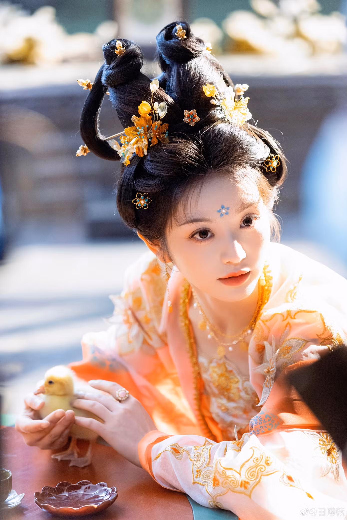 Ngay từ khi khai máy, tạo hình mỹ nhân đời Đường của Điền Hi Vi đã nhận được nhiều lời khen ngợi của khán giả. Nữ diễn viên có ngoại hình sáng, gương mặt xinh đẹp, chiều cao 1,68 m thon gọn, tỷ lệ cân xứng dù mặc đồ cổ trang nhiều lớp vẫn thanh thoát nhẹ nhàng. Các thiết kế trang phục của Dạ tử quy có màu sắc tươi trẻ, bắt mắt làm nổi bật sức sống của nhân vật Vũ Trinh. Bên cạnh đó, Điền Hi Vi có nét đẹp lanh lợi, cũng phù hợp với vai diễn quận chúa hoạt bát.