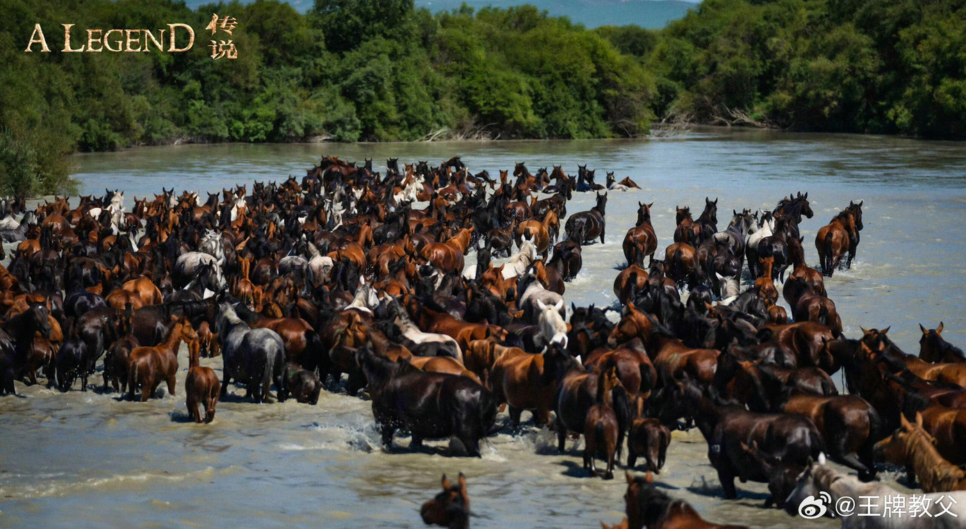 Thành Long thuê 12.000 chú ngựa để quay phim, phá kỷ lục thế giới. Ông còn sử dụng kỹ thuật AI để làm mình trẻ hơn 27 tuổi. Thành Long thuê 12.000 chú ngựa để quay phim, phá kỷ lục thế giới. Ông còn sử dụng kỹ thuật AI để làm mình trẻ hơn 27 tuổi.