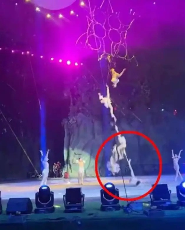 Tai nạn bất ngờ cướp đi mạng sống của diễn viên xiếc 10 tuổi.