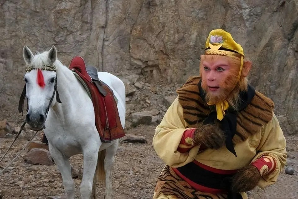 Chú ngựa Bạch Long Mã theo chân đoàn phim suốt 6 năm, nhưng sau đó bị bỏ rơi. Chú ngựa Bạch Long Mã theo chân đoàn phim suốt 6 năm, nhưng sau đó bị bỏ rơi.