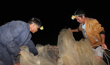 Kiếm tiền triệu mỗi đêm từ việc bắt cá mú giống ảnh 2