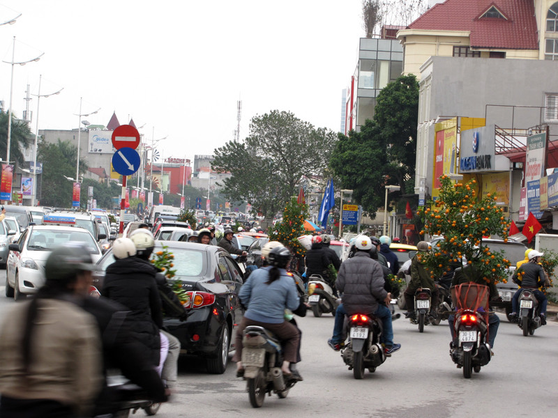 Nhiều người dừng lại mặc cả giá hoa, cây cảnh trên đường Nghi Tàm dẫn tới cảnh ùn tắc xảy ra