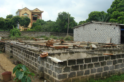 Chuồng rắn phì được xây thành các ô nhỏ, mỗi chuồng là 1 chú rắn trưởng thành,bên trên dùng nắp đậy bằng xi măng có lỗ thoáng hoặc lưới sắt.