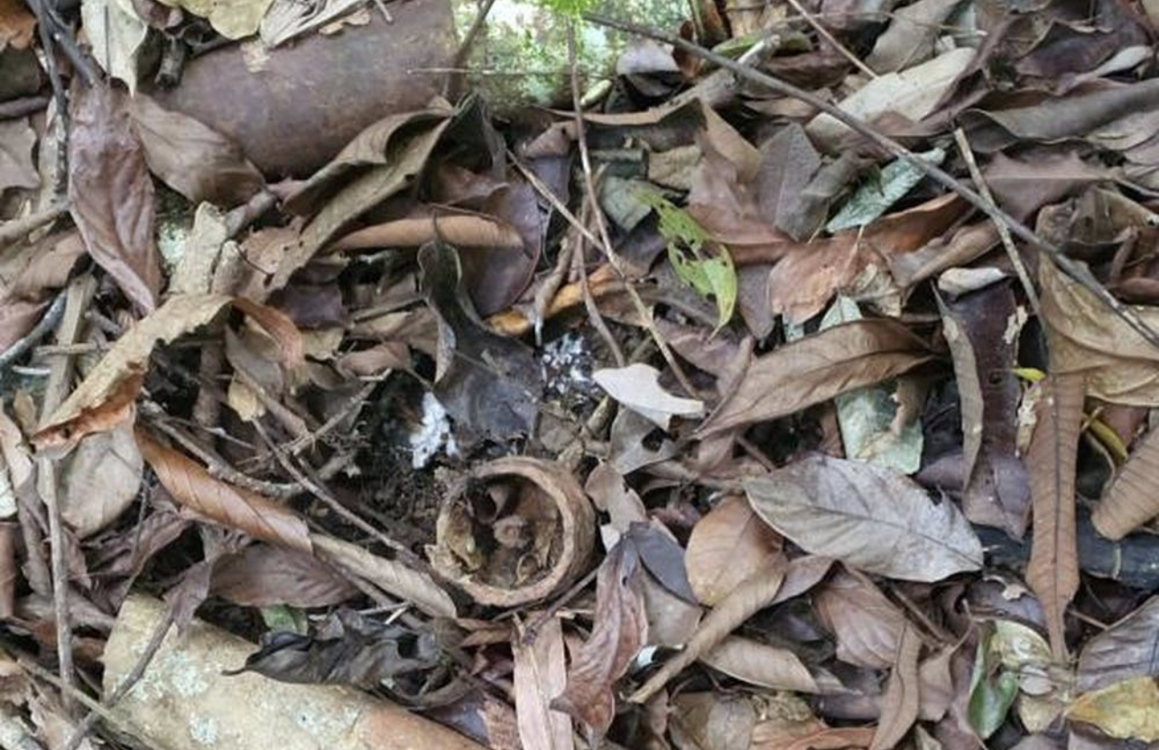 Số vật liệu nổ sót lại sau chiến tranh chủ yếu là đạn 105 ly, đạn cối M42 loại 82 ly và rocket của Mỹ dùng để phá hủy lô cốt, xe tăng.